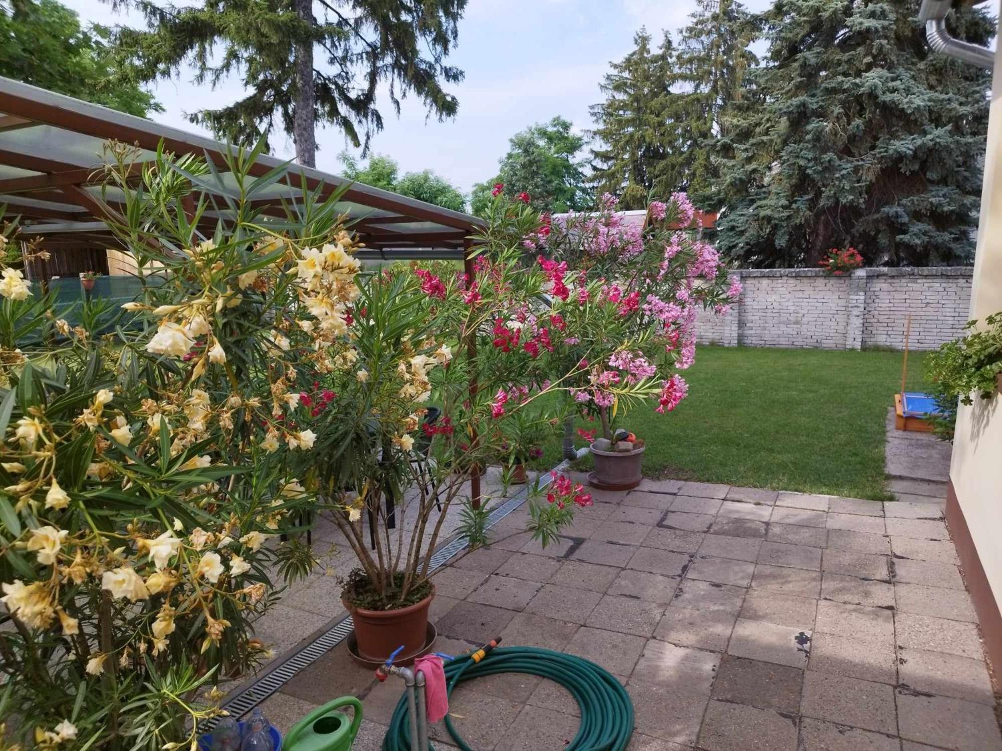Tartos Szegfu Vendeghaz, Maganszallas Tazlar Exteriör bild