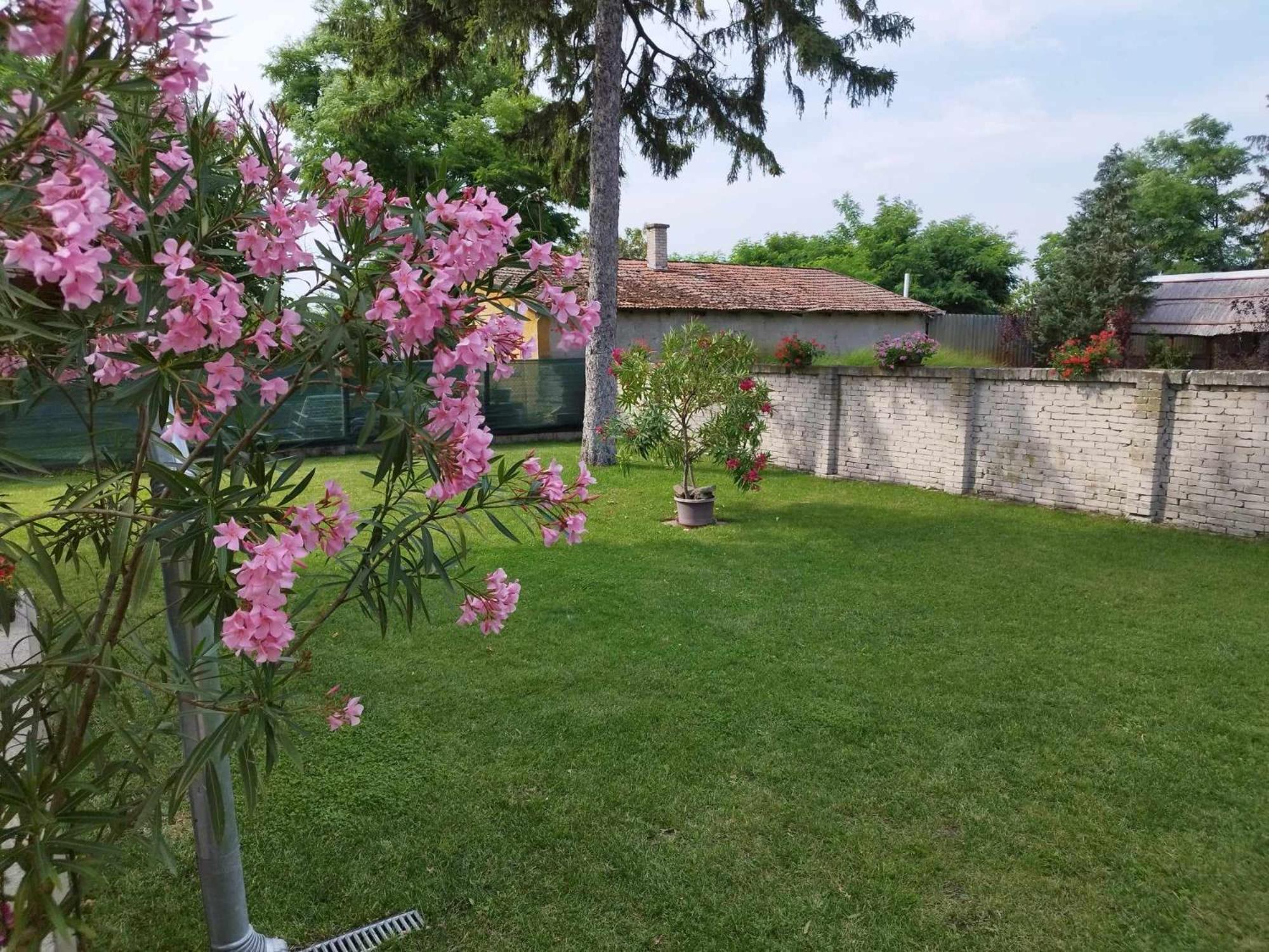 Tartos Szegfu Vendeghaz, Maganszallas Tazlar Exteriör bild
