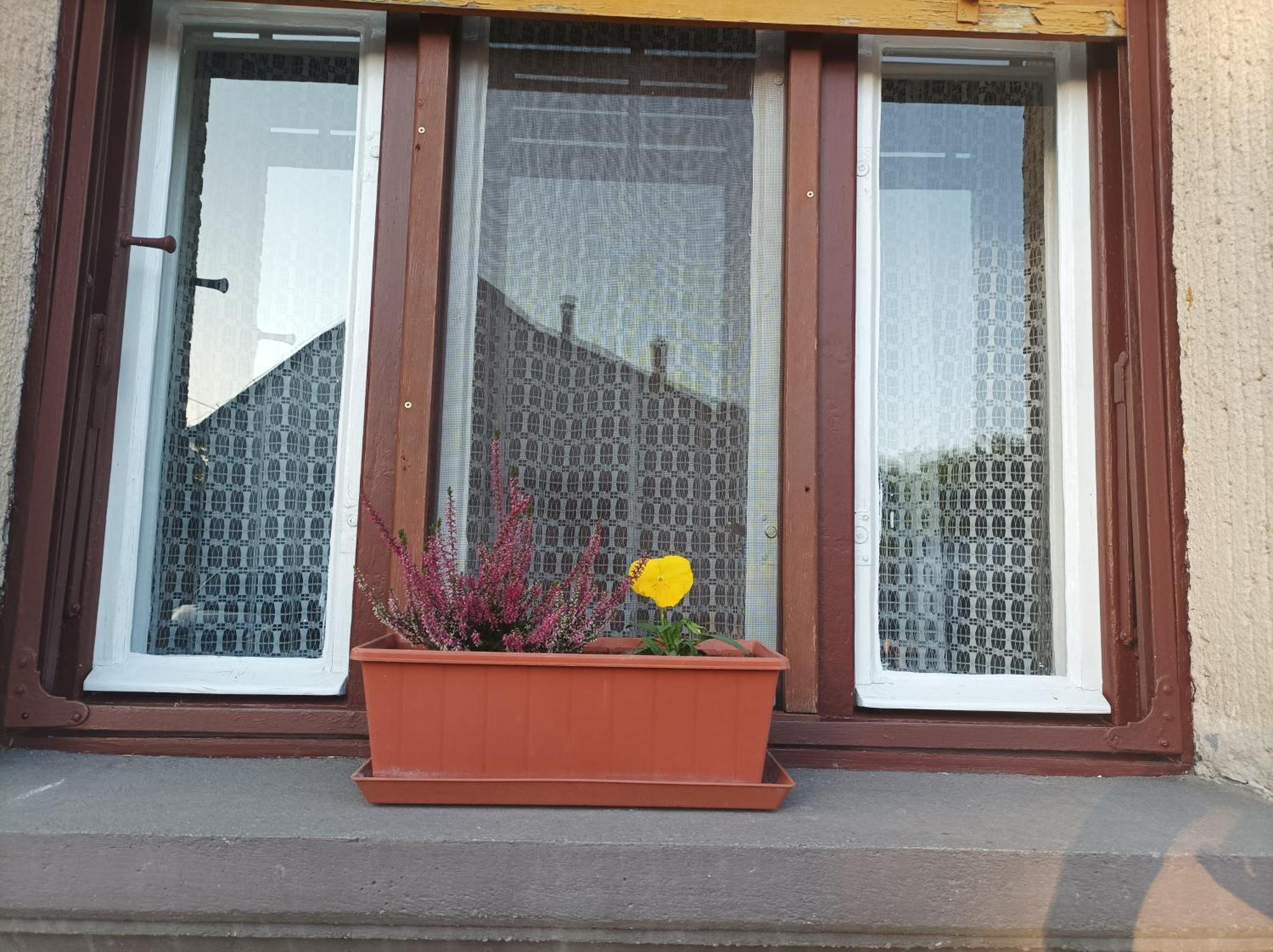 Tartos Szegfu Vendeghaz, Maganszallas Tazlar Exteriör bild